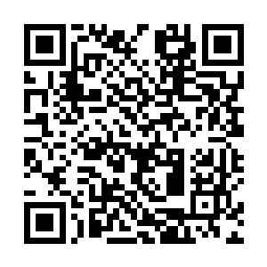 霍普律师提出的在人们看到格达伤害霍达斯之前的假设二维码生成