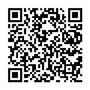 霍震霆随即也是对丁羽和泰勒两个人做了一个邀请的手势二维码生成