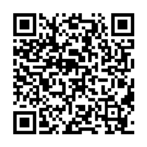 霍青云压根就没有认为他们到极北之地来是为了寻找矿脉二维码生成
