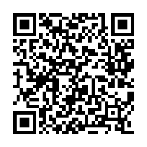 霍青云和毛永钢在得知张潇晗谁也没有带的时候二维码生成