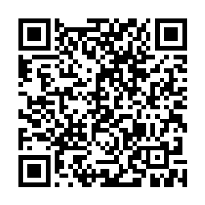 霎时间那散发着绚丽光彩的山腹之顶出现了一片汪洋大海二维码生成