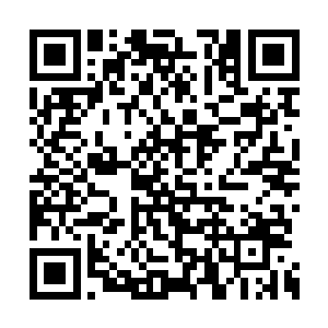 露出一张与冷寒钰颇为相似的如画般清俊的面庞二维码生成