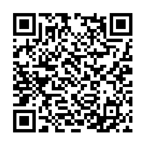 霸哥在钻石分段的排位赛没有一千也有八百场以上二维码生成