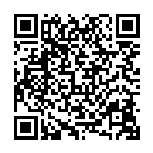 青云按照凌菲教给的方法捏了捏那人肩膀处的伤口二维码生成