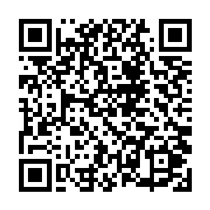 青云留下一竹筒的珍珠果的汁液分给其他昏迷的人喝二维码生成