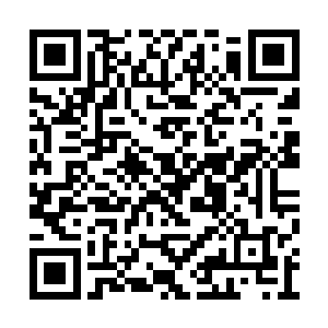 青仔大谈柏林与金马差别意指评审团要擦亮眼睛二维码生成