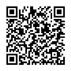 青君终究是想起了眼前这个妖异美艳的公子是个女儿家二维码生成