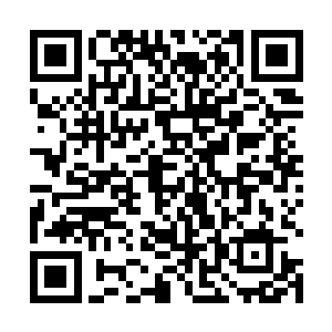 青山书院除了小白轻落还有云落英以及另外的两个姑娘二维码生成