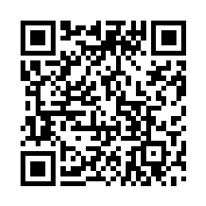 青山公司的业务早就超出了苗圃和道路绿化二维码生成