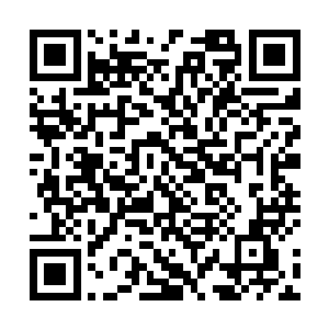 青岚七号和冯乾看到一气宗长老一个照面就被人干掉了二维码生成