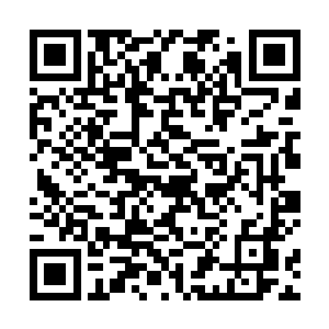 青岛号上心情不错的方剑雄与从欧洲赶来的杨永泰说话二维码生成