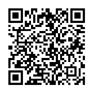 青年听到龙傲天的话之后顿时脸上也露出了一抹迟疑二维码生成