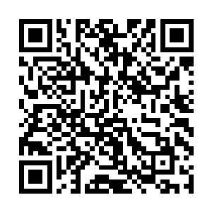 青毛一伙人登船后首先就把陈凌一伙人给包围了起来二维码生成