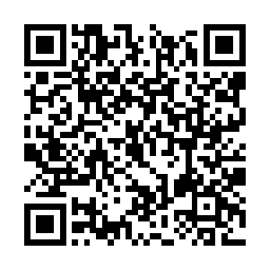 青玄自大战开始之后就孤身一人与异族的修士战斗二维码生成