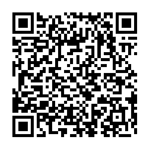 青竹林中那些飘落向他的落叶全部都被他身上的无形气劲撕扯成碎片二维码生成