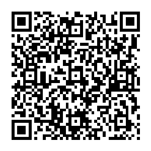 青绿色长发的年轻男人才第一次把注意力放到了身旁这只看起来没什么特色的喵星人二维码生成