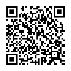 青绿色长发的青年抱着妮娜也找了个四周没人的地方坐了下来二维码生成