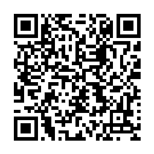 青翼蝠韦春秋在大宗师级巅峰卡了许多年了……若非如此的话二维码生成