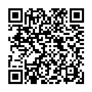 青老商主已经将四百多块紫晶印牌对准了那块纹理黑石二维码生成