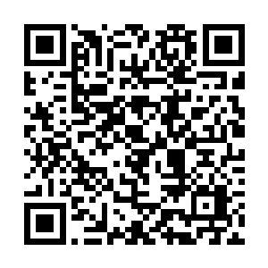 青莲不断的吞噬着寒火皇融入到叶楚青莲中元灵之力二维码生成