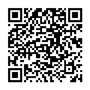 青莲公主的师父是木道人这个消息已经是被证实了二维码生成