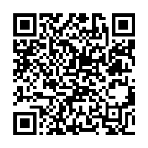 青蛇殿和赤蛇殿毕竟是西荒界四大势力中的两大势力二维码生成