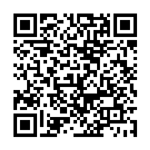 青语那琥珀色的眸子里便绽起了一抹几不可见的笑二维码生成