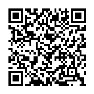 青铜松鼠一脸呆傻地看着自己残破不堪的大尾巴二维码生成