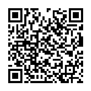 青雉在雾气生出的一瞬间便已经冲到了嫣然的身边二维码生成