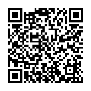 青鸾仙子生怕自己天界的这一员爱将觉得被冷落二维码生成