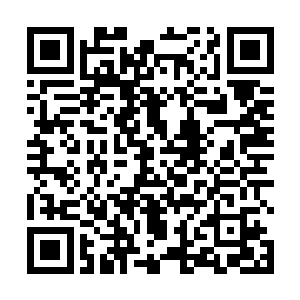 青龙族和白虎族的两大无上老祖齐齐被打的倒飞了出去二维码生成