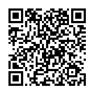 青龙看着苏凡的表情就知道苏凡打心底里就还没原谅云不修二维码生成