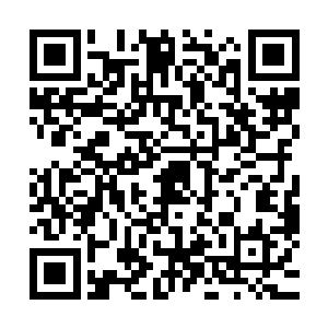 靖南那小贼就是用你口中不堪一击的两脚羊让我军损失惨重的二维码生成
