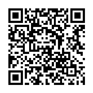 非常感谢漂亮美丽的女主人那甜美好听的歌声……二维码生成