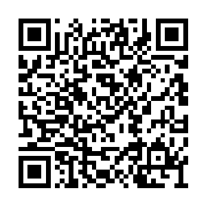 非常稳定的把右手掌缘靠在挡风玻璃上嘡嘡两枪二维码生成