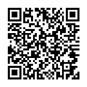 非要跟随我左右……所以自己只是因为无法拒绝才答应的二维码生成