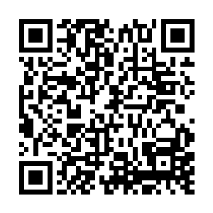 靠一个人的力量是无法改变飞升修士被歧视的现状的二维码生成