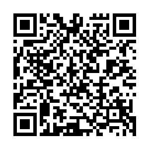 靠在石壁上连战甲都没敢脱下来的碧月夫人立马坐了起来二维码生成