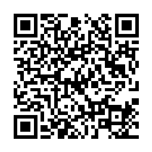 靠政策做大的企业大都会失去思考能力和市场思维二维码生成