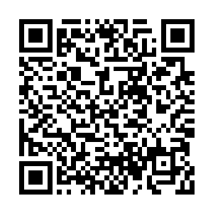 靠着椅子背闭上了眼睛和水里的土狗联系了起来二维码生成