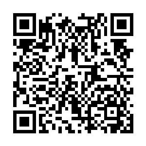 面众多魔幻宫弟子也都被各自的亲传弟子领着告退二维码生成