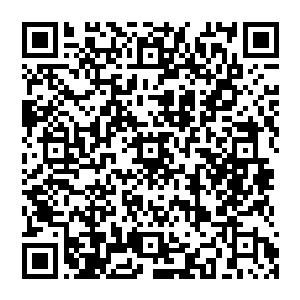 面前不远处的巨大平原上三座黑色的山峰还有高空中聚集成圆团包裹围殴着流墨墨等人的虫云二维码生成