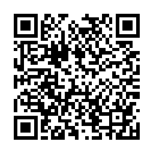 面前摆放着几个圆形的方向的如同积木一般的东西二维码生成