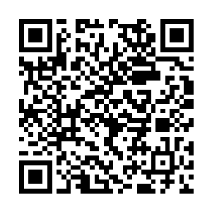 面前的电子屏幕上显示的是整个芝安市的动态地图二维码生成