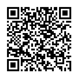 面对一开始就使用机甲擒拿术向自己攻过来的对手二维码生成