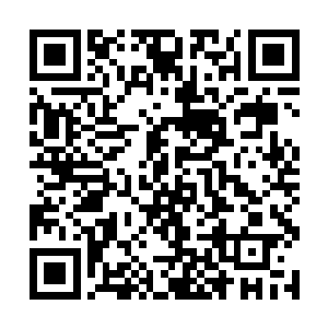 面对一波又一波挥舞着支票跑上门来追求合作的品牌二维码生成