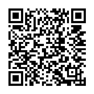 面对着这些大魂师巅峰的金属人杨风也是显得游刃有余二维码生成