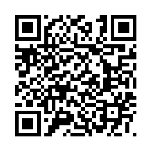 面对着这样一座仿佛乌龟壳般的灵阵二维码生成