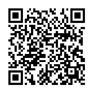 面对这三名已活上万年之久的古化石人物全力夹击二维码生成