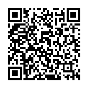 面目狰狞地注视着远处的镇元子嘎嘎地笑了起来二维码生成